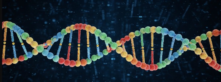 파미셀-줄기세포-치료제-하티셀그램-임상-연구